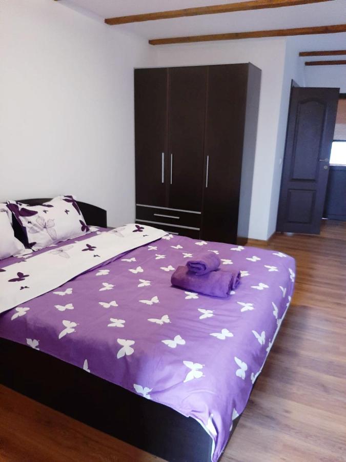Casa De Vacanta Sadu מראה חיצוני תמונה