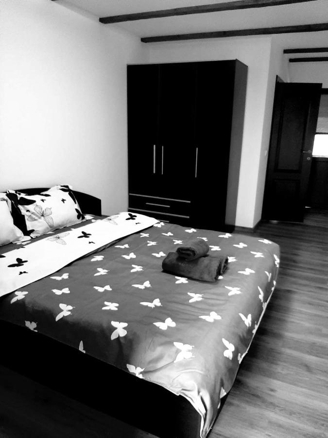 Casa De Vacanta Sadu מראה חיצוני תמונה
